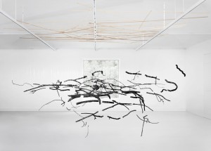 Ulrike Mohr, Anthrakothek, 2013, spatial drawing with a collection of wood into charcoal, wooden planks, nylon thread, 900 x 350 x 500 cm. Photo: Jens Ziehe, copyright the artist and VG BildKunst