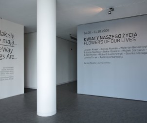 exhibition view